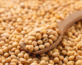 soya beans