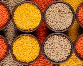 Food grains & pulses